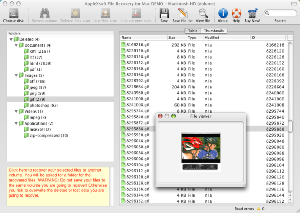 AppleXsoft File Recovery for Mac