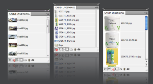 Cacidi LiveBrowse CS4