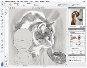 Corel Painter Essentials