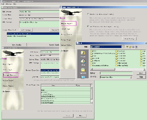 Data Export - Oracle2Paradox