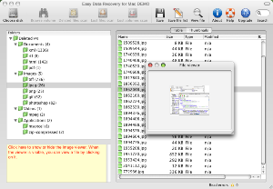 Easy Data Recovery for Mac