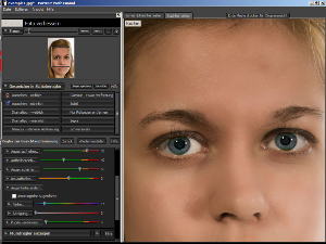 Portrait Professional Standard