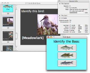 Studycard Studio Lite