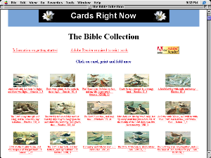 The Bible Collection
