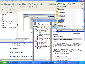 WebCab Functions for Delphi