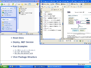 WebCab Functions for .NET