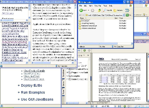 WebCab Optimization (J2EE Edition)