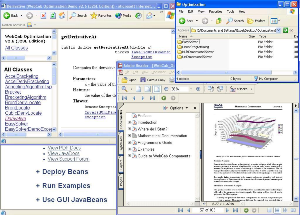 WebCab Optimization (J2SE Edition)