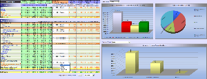 What's In My Piggybank? (Excel 2007)